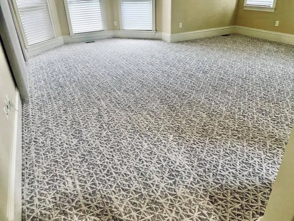 Room with patterned cut-pile carpet